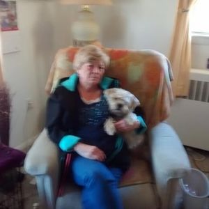 Meet your Posher, Annette